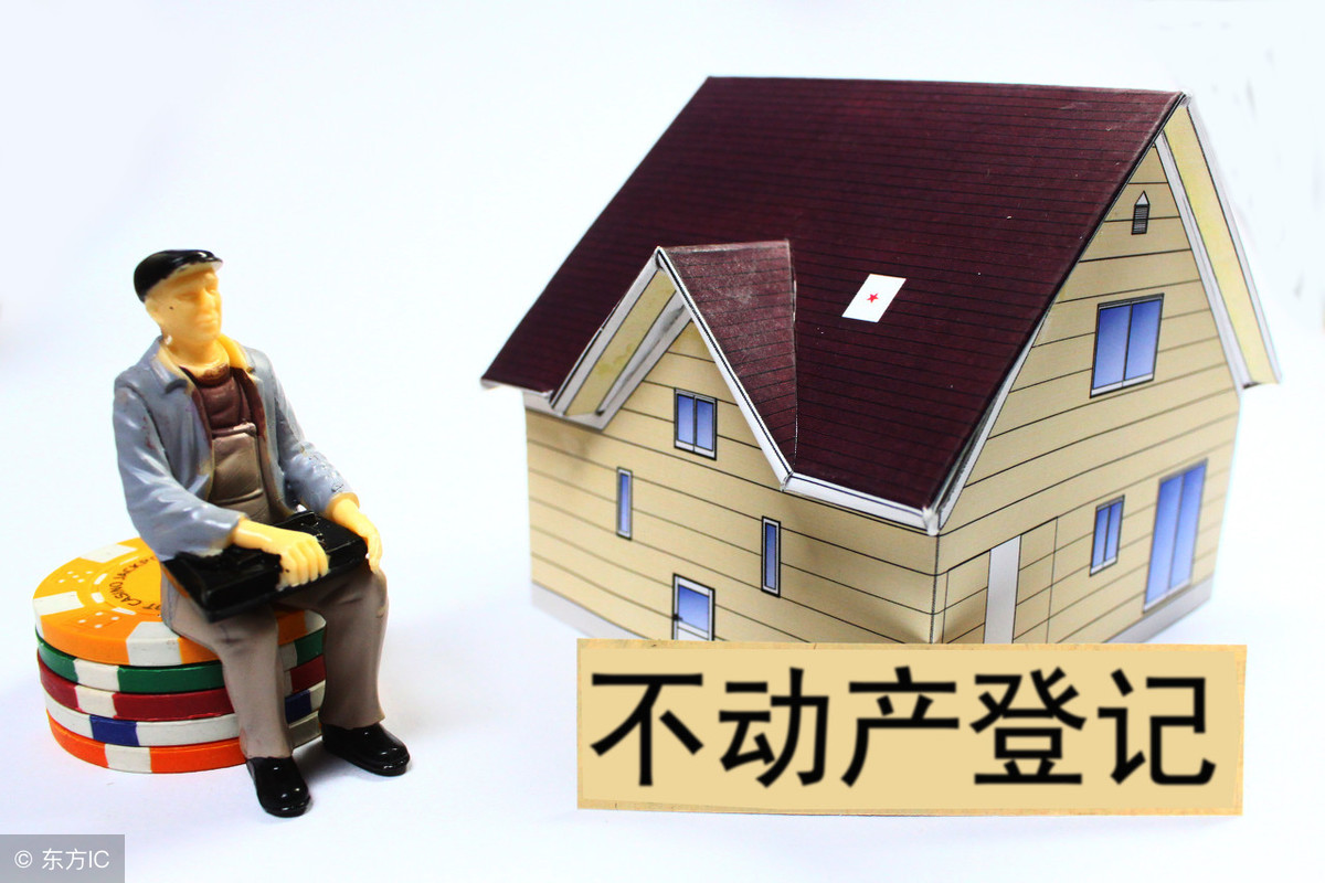 Ǽ鲻ȳ֤ȷȨ